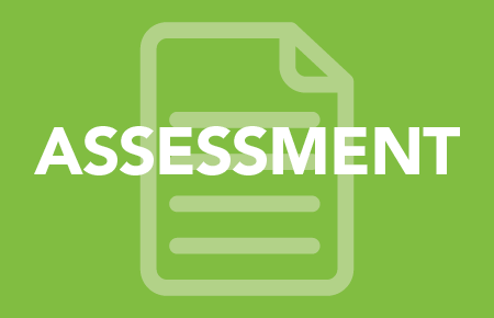 process 1 assessment